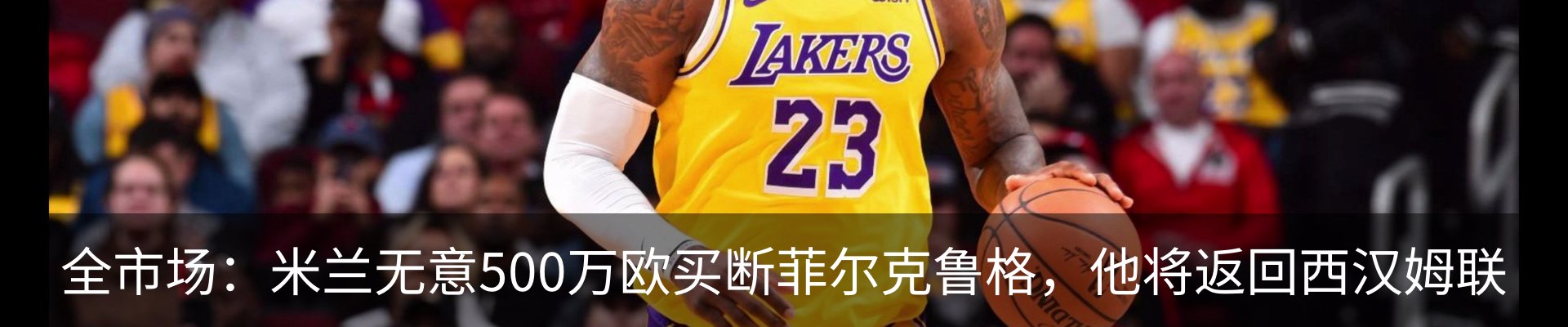 新闻动态