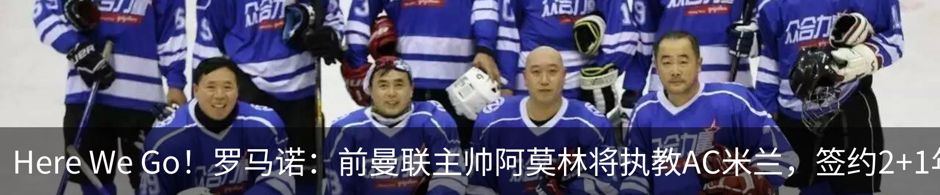 新闻动态